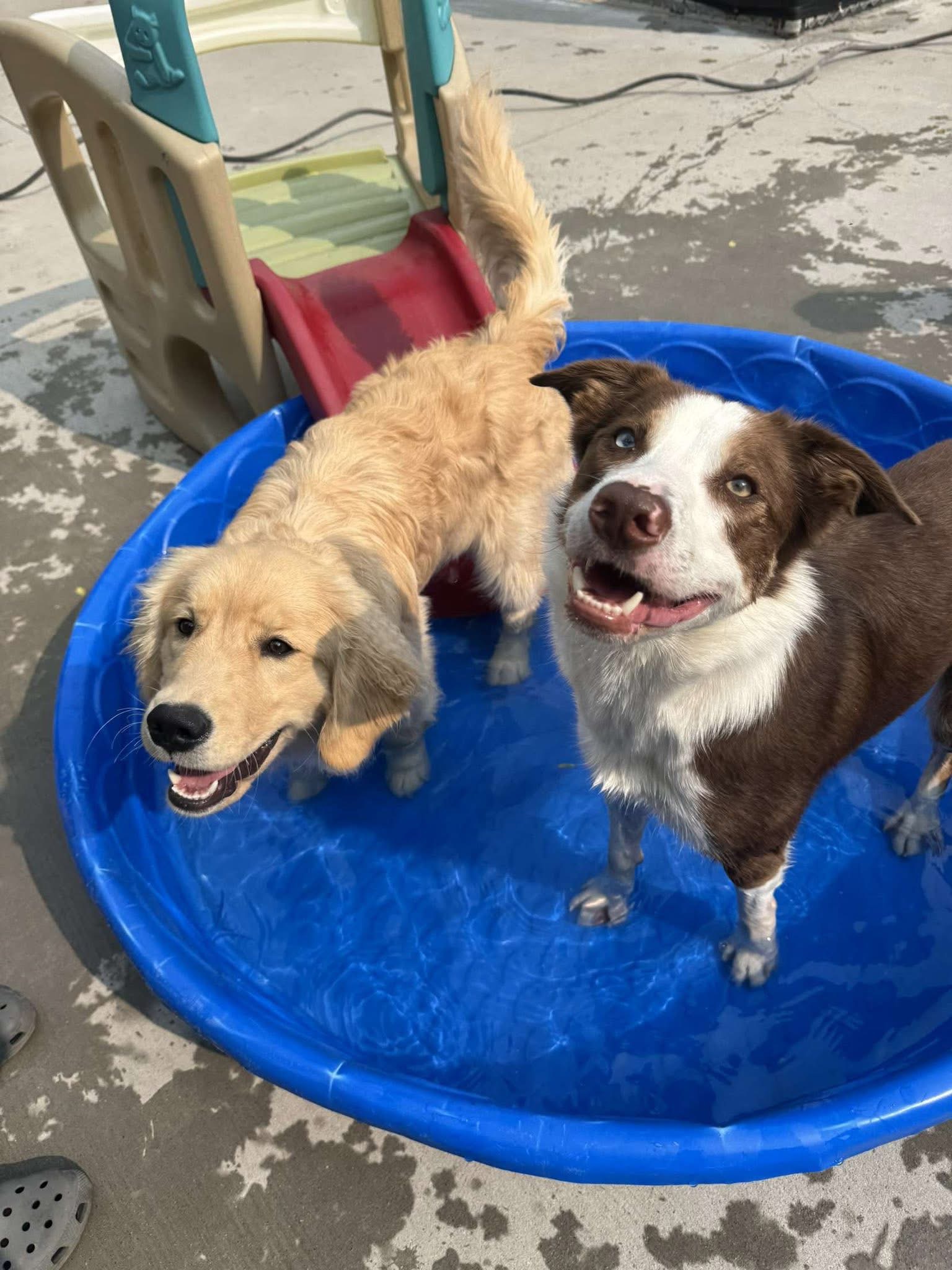 Daycare